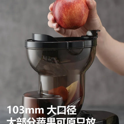 220V Xilanpu Stainless Steel Juicer with Pulp Separation Multi Function Large Mouth Automatic Juice Extractor DW