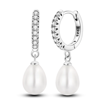 Orstarry 925 Sterling Silver Crystal Circular Eardrops Drop Earrings Women Earrings Charm Fashion Versatile Party Jewelry Gifts