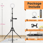 16cmLamp 210cm Stand