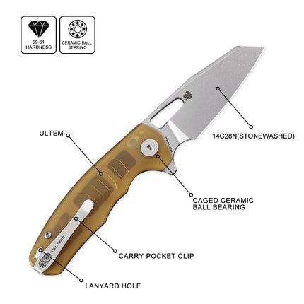 Petrified Fish PFE17 Trilobite Folding Knife 14C28N Blade Handle G10 Foldable Pocketknives Fishing Survival Tool Outdoor Camping