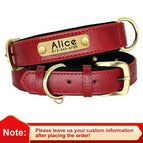 Red / M weight 6.5-10kg