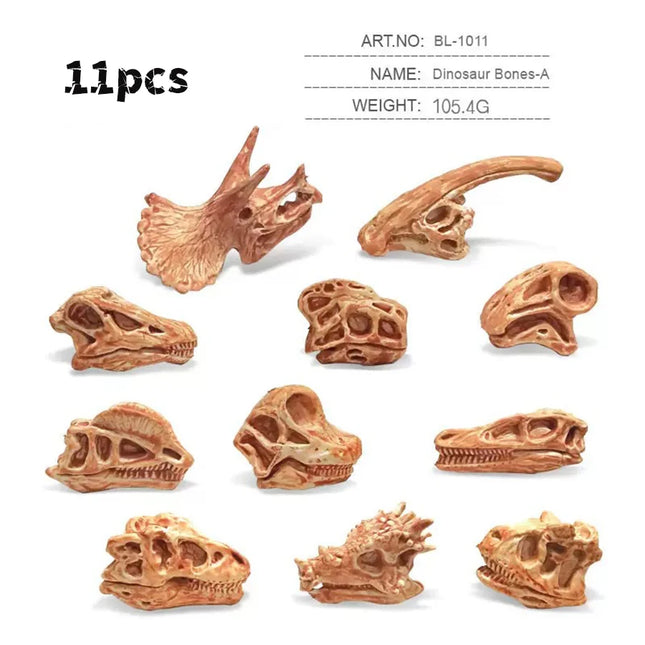Solid Dinosaur Fossil Model Simulation Hand-painted Vivid Carnotaurus Dinosaur Skull Fossil Figurine for Kids Home Decor
