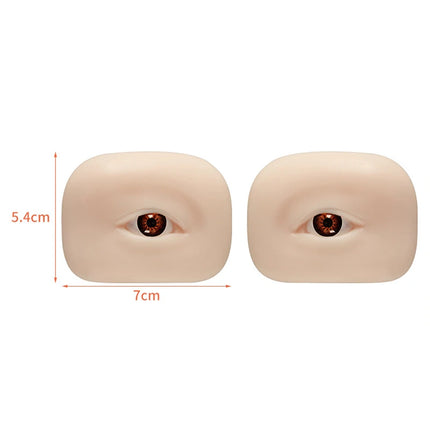 A Pair Three-Dimensional Eyebrow And Eye Module With Eye Practice Skin Simulation Human Soft Silicone Line Eyebrow For Beginners