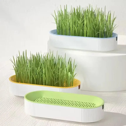 Hydroponic Cat Grass Box – Soilless Catnip Planting Set with Cat Treats for Easy Growth