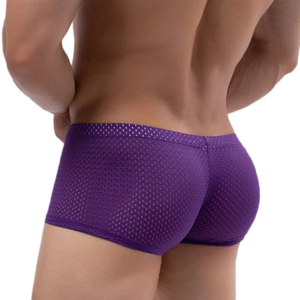 Men's Panties Male Underpants Man Sexy Mesh Shorts Boxers Underwear Breathable Ropa Interior Hombre Boxershorts Mens Soft Boxers