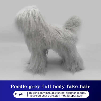 Poodle dog pet professional beauty simulation wig model practice special skeleton environmentally friendly PE material