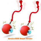 Red Tail Ball 2pcs / 2026 Version