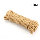 10M