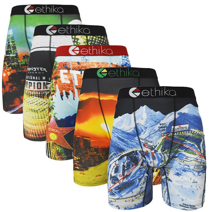 ETHIKA 1Pc Men Sexy Underwear Boxers Breathable Man Underpants Plus Size S-3XL Mens Trunks Men's Panties Lingeries Boxer Briefs