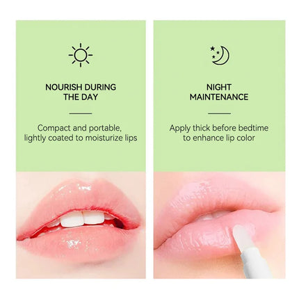 LEEINTO Honey Lip Balm Set Moisturizing Lip Balm Day and Night