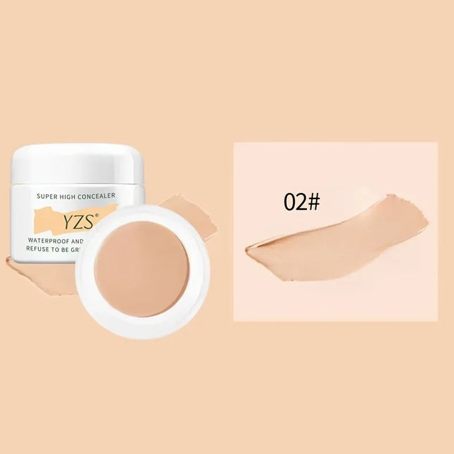 High Coverage Concealer Cover Anti Dark Circle Freckle Long-lasting Waterproof Foundation BB Cream For Face Makeup Base Cosmetic