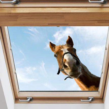 Funny Horse Self-Adhesive Window Stickers, Bedroom Entryway Living Room Porch Home Decoration Wall Stickers, Removable Stickers