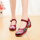 wine red-H / 36