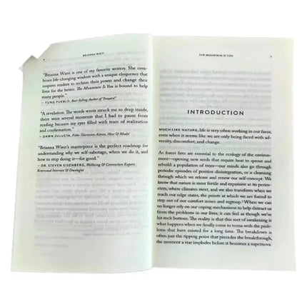 New The Mountain Is You: Transforming Self-Sabotage Into Self-mastery English Books Birthday Gifts