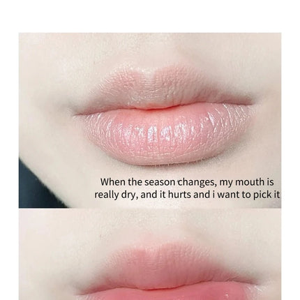 4/6PCS Lip Balm Lip Oil Set Hydrating Moisturizing Lip Mask Kit Winter Lip Care Oil Lipstick Base