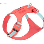 Rose Red / XL / China Mainland