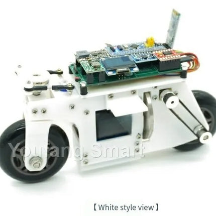 2WD RC Balance Bike Cubli Self-Balancing Flywheel 3D Printing APP Control DC Motor Motorcycle for STM32 Programmable Robot Car