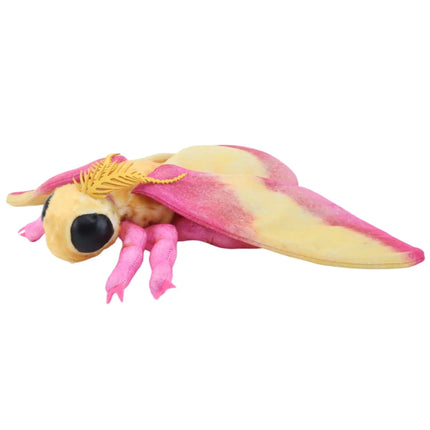 Cute Luna Moth and Rosy Maple Moth Plush Toys Soft Realistic Stuffed Animal Plushie for Kids Insect Lovers Birthday Xmas Gift