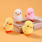 4pcs