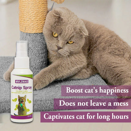 Catnip Spray for Cats, Cat Scratching Spray to Boost Play, Calm Stress & Renew Toys, Transparent Cat & Kitten Behavior Spray 60 ml