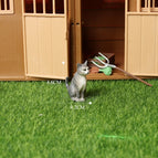 Mini Cat -37