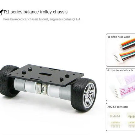2WD Wheel Balancing Trolley MG310 Encoder Motor Self Balancing Robot Car for STM32 Robot DIY Kit to PID Parameter Adjustment LQR