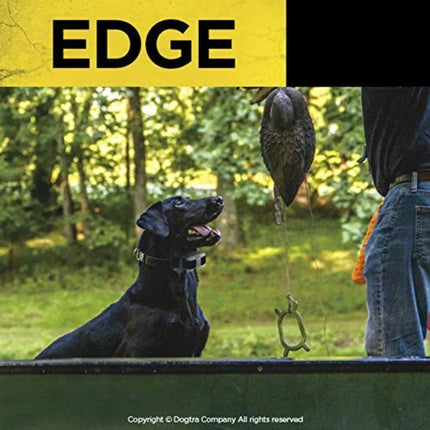 Professional outdoor training: waterproof nylon collar, black, 1-mile range with LED receiver and expandable 4-dog control