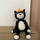 60cm cat