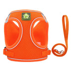 orange / XL