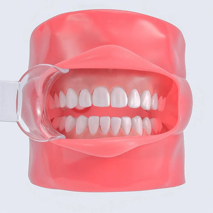 Dental Double-headed Intraoral Cheek Lip Retractor 4pcs Mouth Opener Dental Intraoral Mouth Expanders dentistry materials