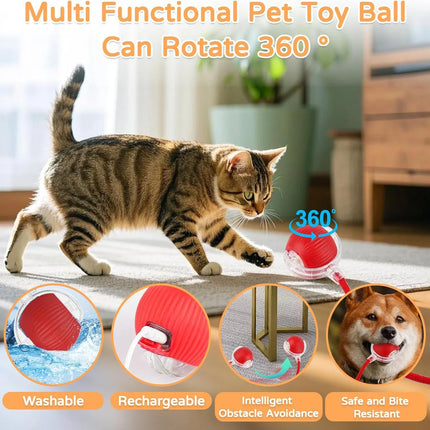Cat Interactive Ball Toy Automatic Rolling Ball Faux Tail Rechargeable Smart Pet Electric Toy Dog Cat Training Imitate Mouse