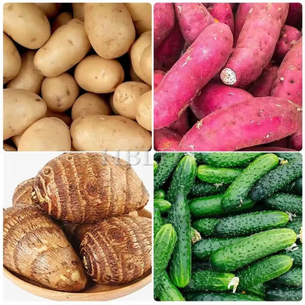 Multifunctional Potato Cleaning And Peeling Machine Electric Sweet Potato Taro Peeling Machine