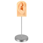 Right Flesh Ear / 1 set With Stand