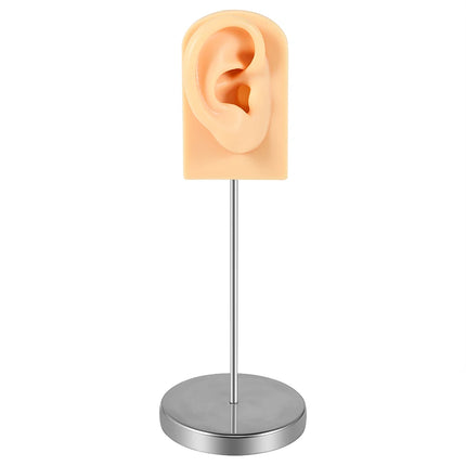Soft Silicone Ear Model Tattoo Practice Body Jewelry Display Piercing Tools Earring Display Tool Metal Display Stand Kit