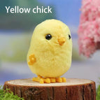 Yellow chick