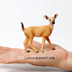 Deer B