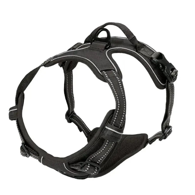 Dog Collars Harnesses Large Vests Leashes Pet Shop Everything for Dogs Leather Puppy Accessories Medium Small Set