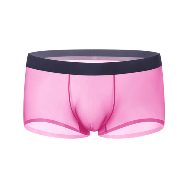 Ice Silk Transparent Boxer Shorts For Man Seamless Ultra-Thin Male Underpants Sexy Quick Dry Bulge Penis Pouch Panties Underwear