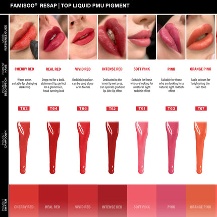FAMISOO Permanent Makeup Pigment Long-Lasting Makeup Lip Professional Tattoo Inks Lip Pigments 5ml PMU Microblading Eyebrow Ink