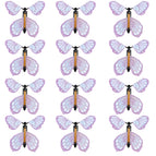 12PCS 3