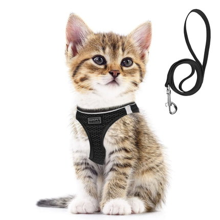 Cat Dog Harness with Lead Leash Adjustable Vest Polyester Mesh Breathable Harnesses Reflective Strip for Small Dog Cat accessories
