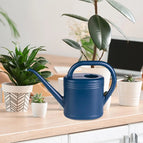 blue 2L
