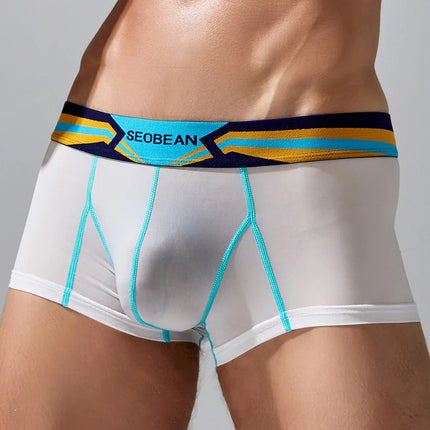 SEOBEAN Men's Sheer Boxer Briefs Nylon Low-Rise Underwear Lightweight Breathable Fashion Stylish Thin See-Through 230215 412114
