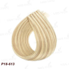 P18-613 / 35%-45% / 22inch 95-100G