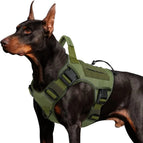 army green / M