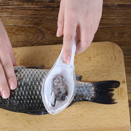 Fish Scale Scraper / Grattoir Écailles Poisson