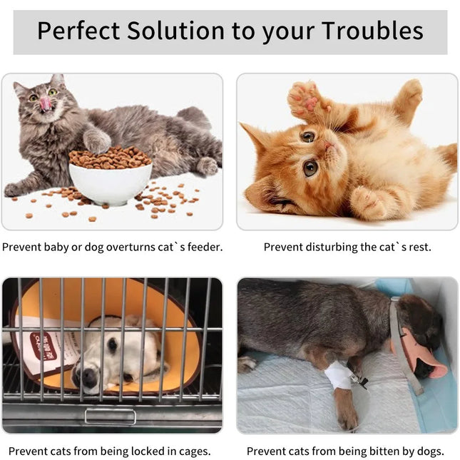 Door Open Holder Cat Ring Cat Door Holder Door Stop Cats MDMWL01