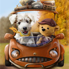 109 Journey car