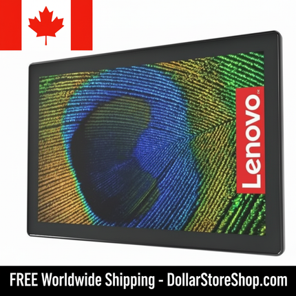 Portable Monitor / Moniteur Portable inTOUCH101