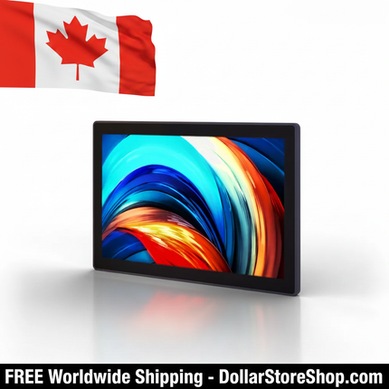 Portable Monitor / Moniteur Portable inTOUCH101